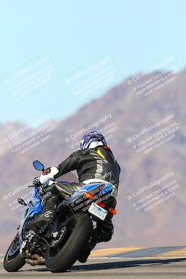 media/Jan-13-2024-SoCal Trackdays (Sat) [[9c032fe5aa]]/Turn 9 Backside (110pm)/